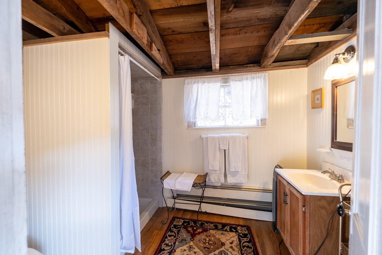 A cozy bathroom featuring a shower, wooden accents, and a decorative rug.